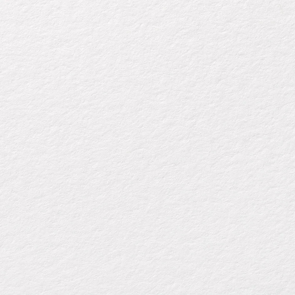サマセット　ベルベット　ホワイト　